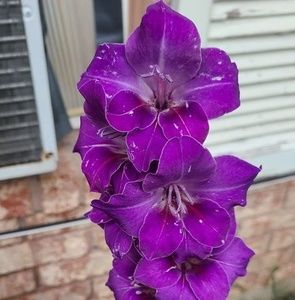 Meet your Posher, Mayte